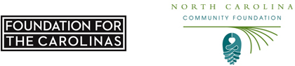 Duke Energy PNG logo